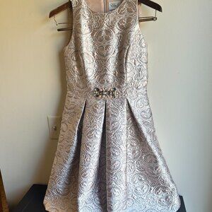Eliza J Pink/Silver A-Line Cocktail Dress Size 4